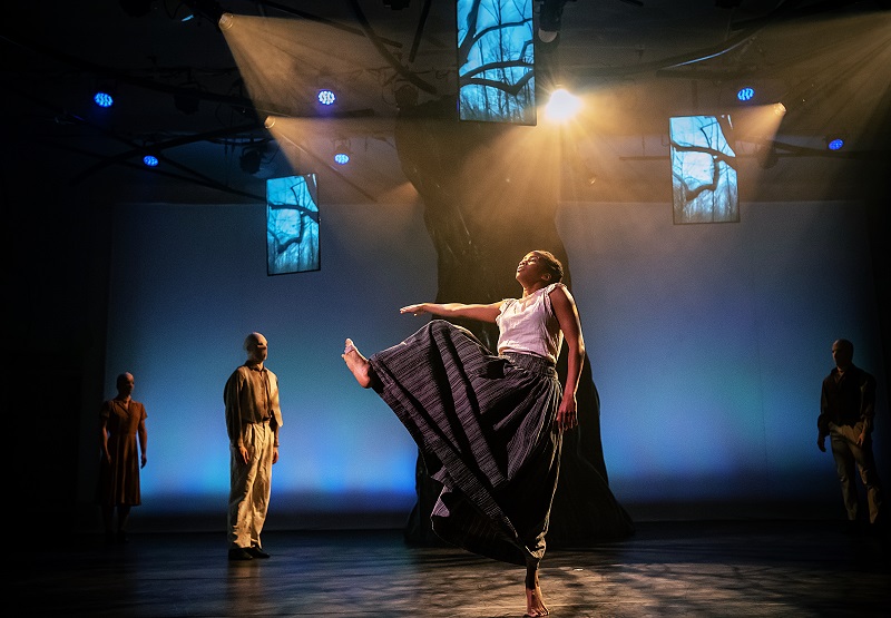 Byrd's "Strange Fruit" (2019), photo: Marcia Davis, courtesy Spectrum Dance Theater