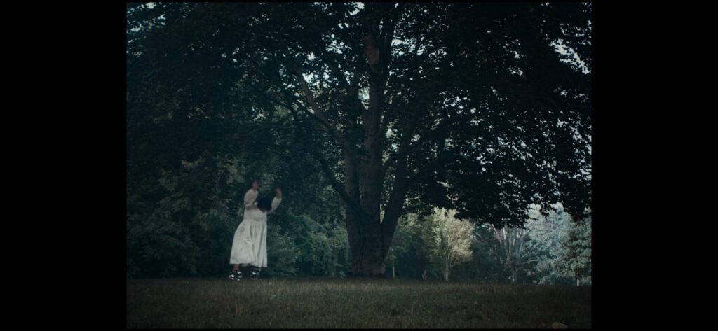 Image description in caption.