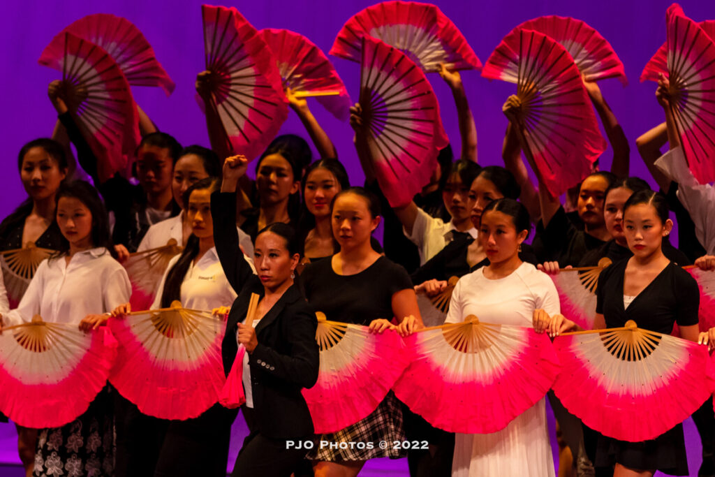 image description in caption